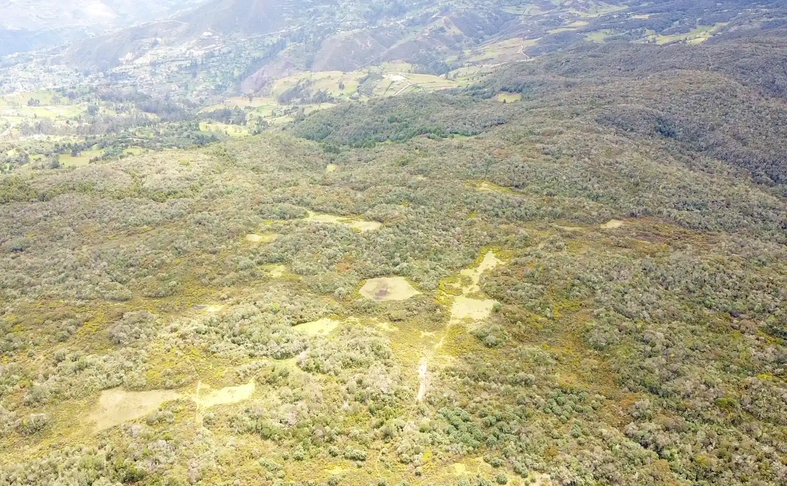 bosque el aguarongo, maylas, san francisco, gualceo, gualardianes, agua fuentes hidricas