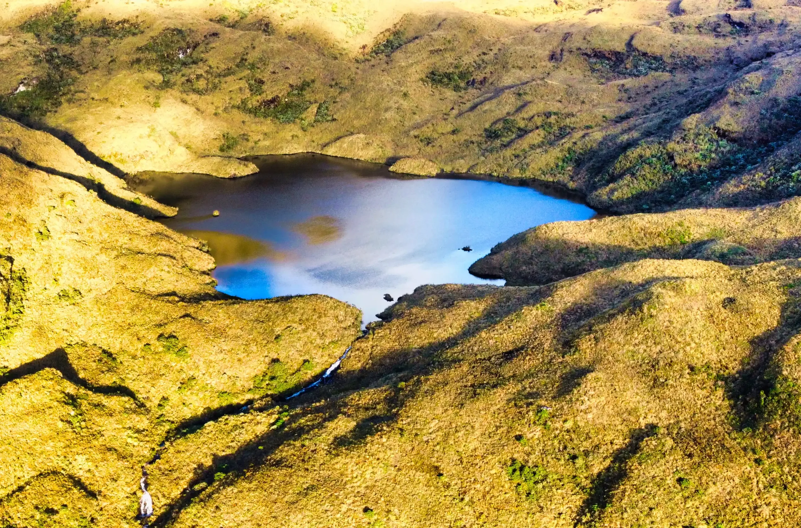 bosque  de collay , collay, uchucay. laguna maylas, san francisco, gualceo, gualardianes