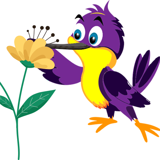 colibri_edpng flora y fauna de gualaceo, gualardianes, gualaceo